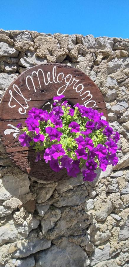 B&B Il Melograno Tortorella Kültér fotó