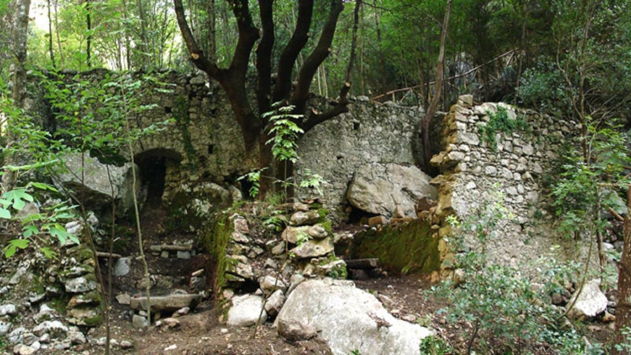 B&B Il Melograno Tortorella Kültér fotó