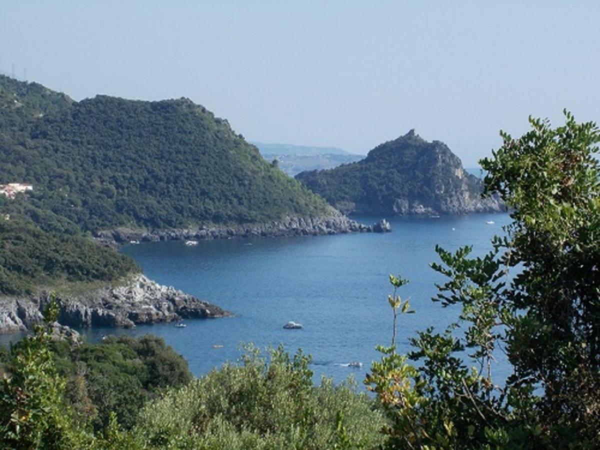 B&B Il Melograno Tortorella Kültér fotó