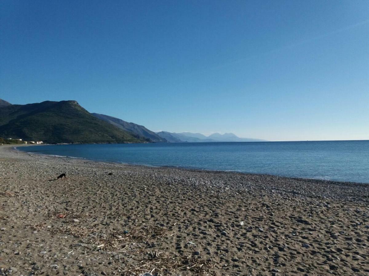 B&B Il Melograno Tortorella Kültér fotó