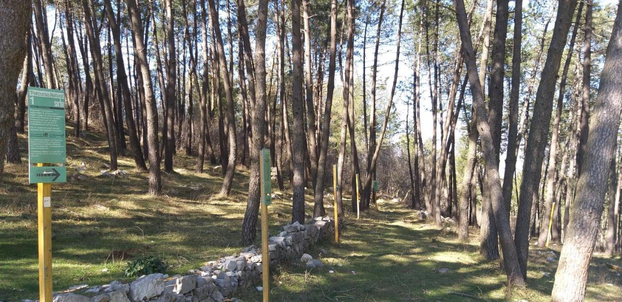 B&B Il Melograno Tortorella Kültér fotó